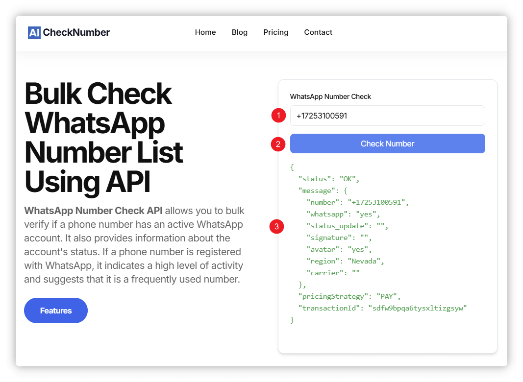 WhatsApp Number Check Tool